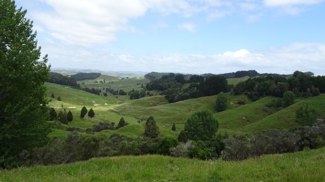 367B8376-E94D-4E61-A6F7-7C0E216FF0CB