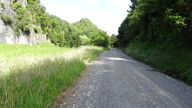 3C2FA301-F56E-4C55-BBC3-E6C41A36B3B6