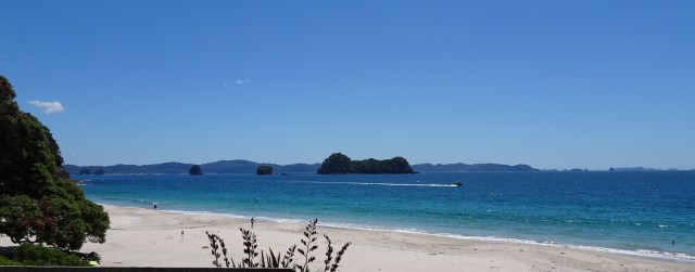 42FAD294-8C5C-4241-9F20-BAF0055B58CC