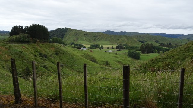 44973B91-851E-4DD0-83EF-E6FD243CD7EA