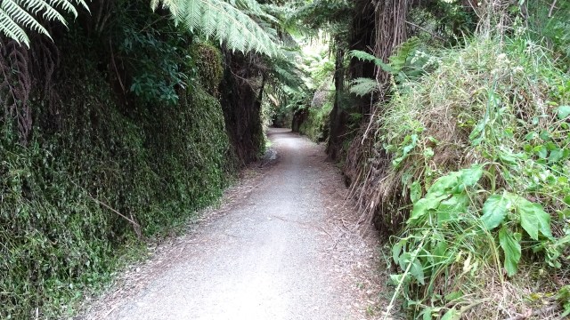 45840572-AC7B-4C7F-B9AB-A165E4195FDC