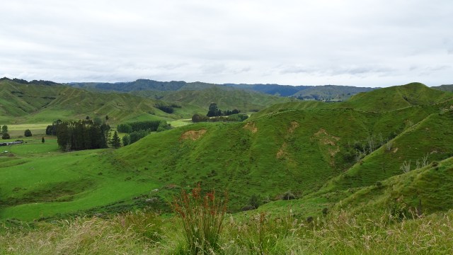 49946739-B614-4424-A03F-1C1B20E727F6