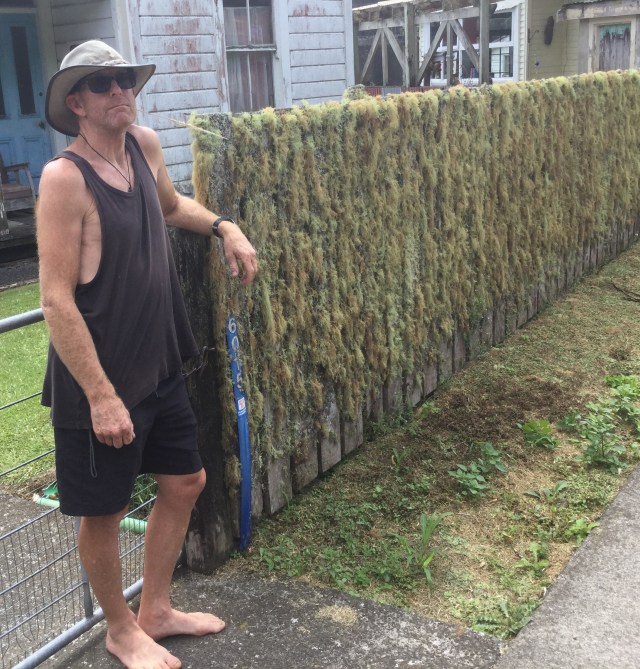 4E960EB3-E165-4E93-8904-B47C181D128D