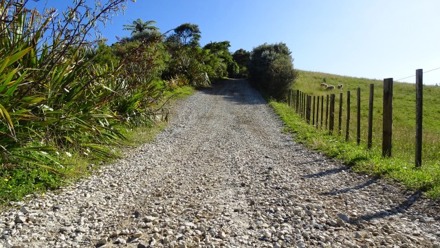 4EDDB666-F92F-46EE-A6EF-5CE8C5B7AE92