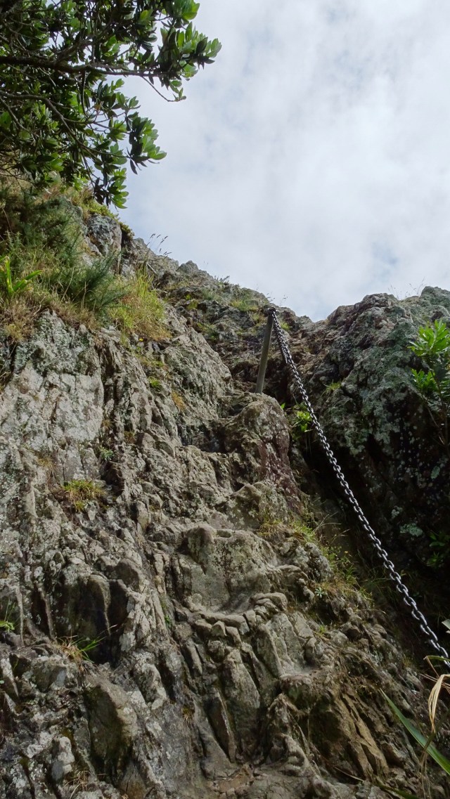 4FC84723-9CED-4062-86AF-E37E8E029822