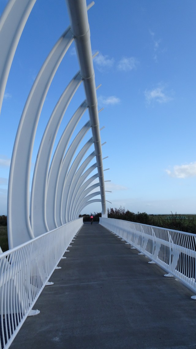 503F13F6-3029-4B46-AB16-BA243F26375F