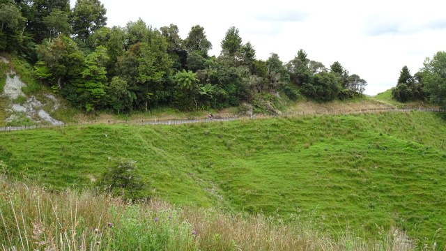 5449A712-9D52-4C10-B0EF-64C5FE779136