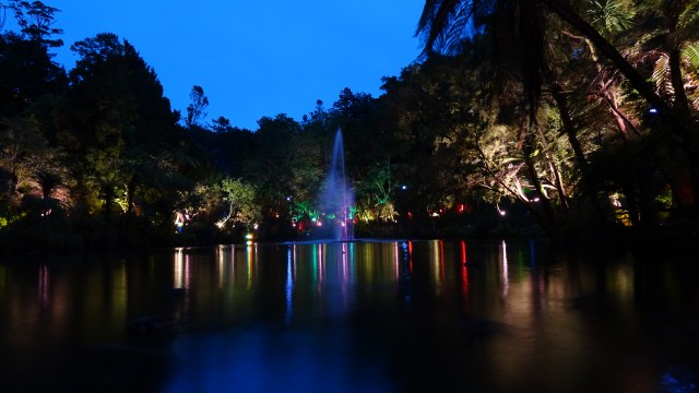 5612FF55-9177-4734-BCCE-CDFF5FA5638F