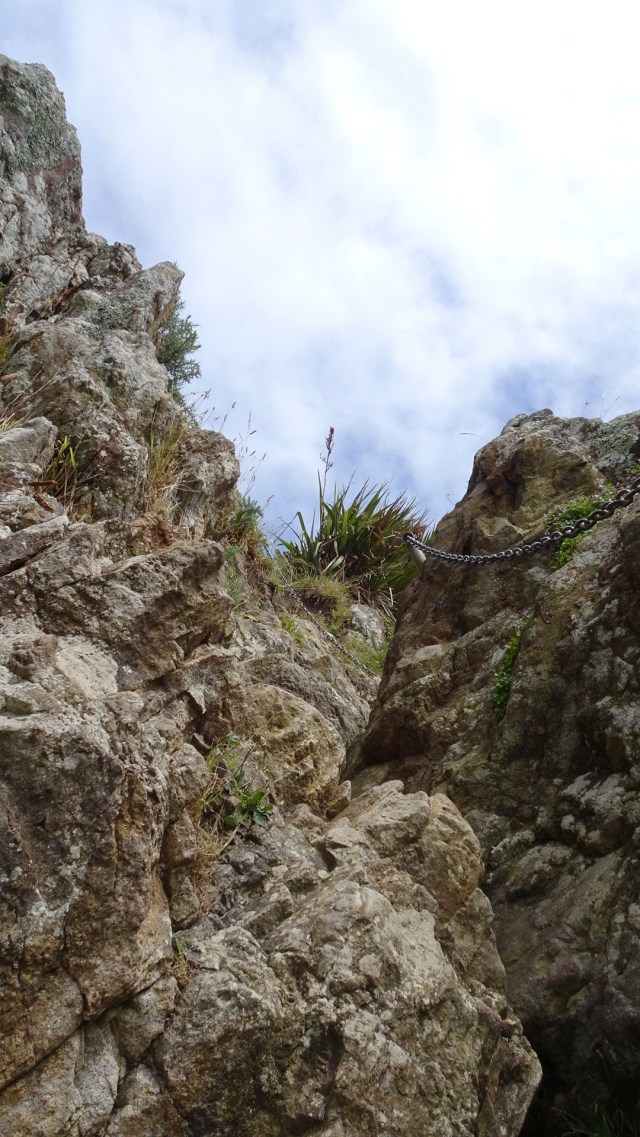 5AA1AC09-1F19-4BD2-B167-4AEFE47EFACA