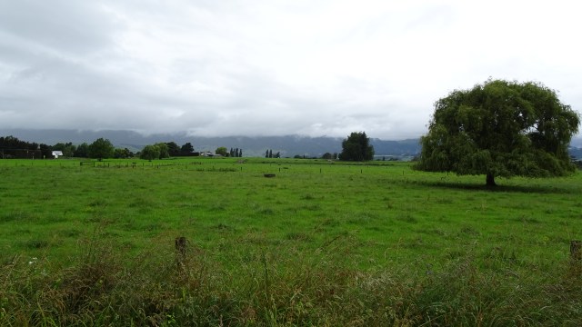 60BA22C8-C153-40BA-9073-2FC7D50D7A68