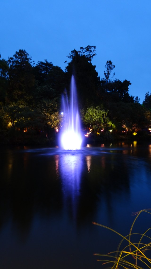 624A748B-3299-4BC3-8F9F-744971A94E0A