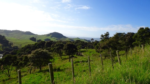 62F3C686-BDAE-4696-920A-2702CA8F1077