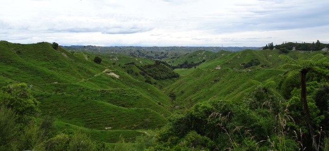 65165B0D-20DF-4F15-86CD-C592FA12E564