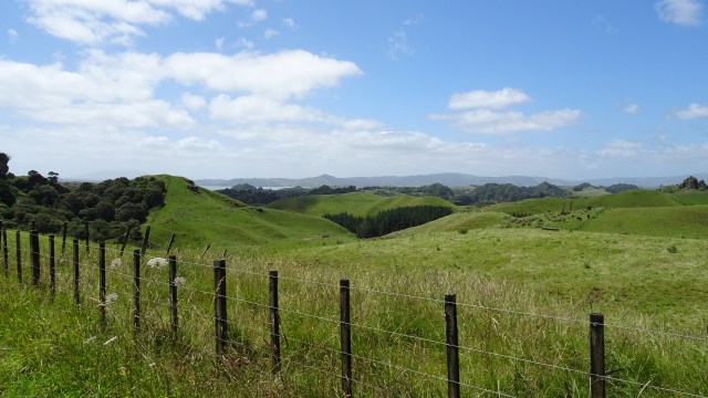 65F8A4DA-C647-424F-9740-2601AABA3682