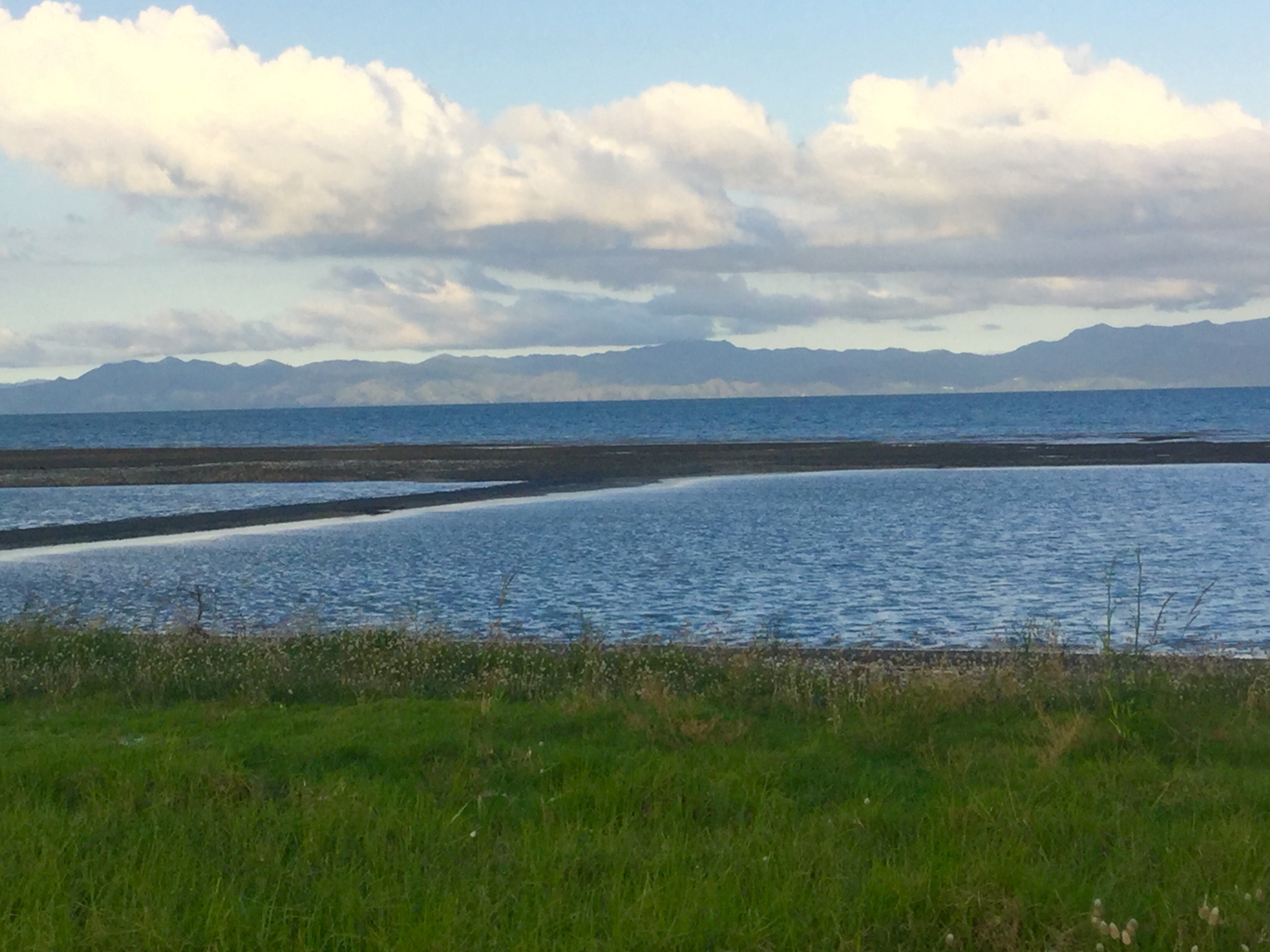 66887B49-DBF4-45D0-AE42-49BF59AA5452