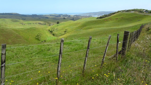 676336F0-D6DB-4984-9485-2A8D611C4B61