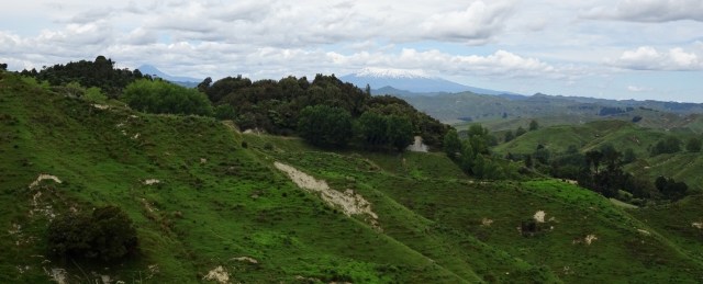 6E13AA8A-DA2A-4130-A987-4EABE33698E6