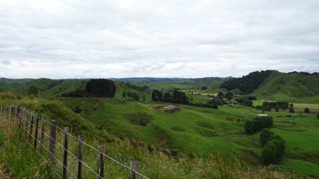 6F631299-B296-491C-891A-36E046FD9DA0