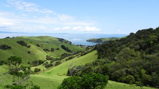 74B96FC2-8C8C-4D58-8DBC-9B390880D5B4