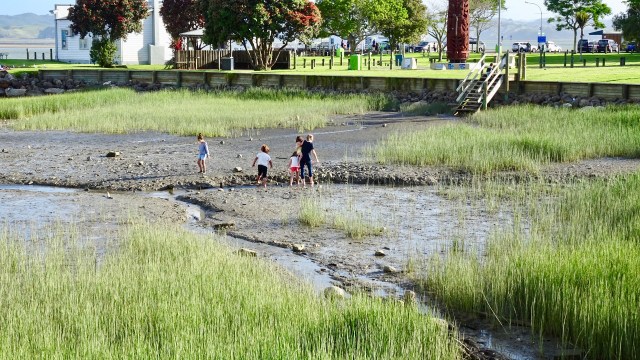 78734619-ED35-499B-877B-7AF4C67396A2