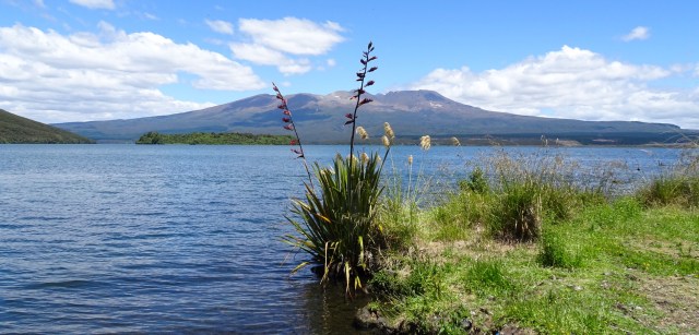 84AA9559-5594-483C-AC45-AC8A20D59A7A