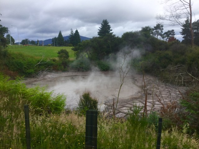 85079E0B-3121-482A-B93C-F2B8EF153A19