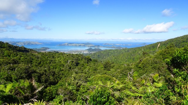 8E8DDEF7-9E3D-4DB2-AFD8-775CCA96C103