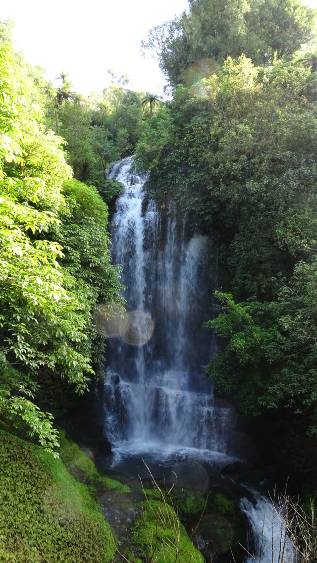 8FEC5ECA-68DC-4028-8DCC-1E63C9DDFA24