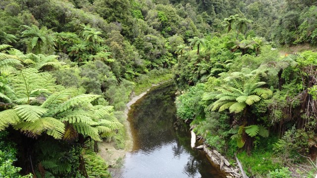 92EE01C8-A5F8-42E3-A836-DDD637680E69