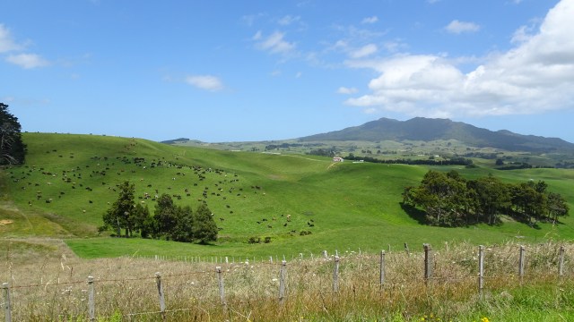 933525D1-8B92-41AB-AF4A-95DBC5D3DAEF