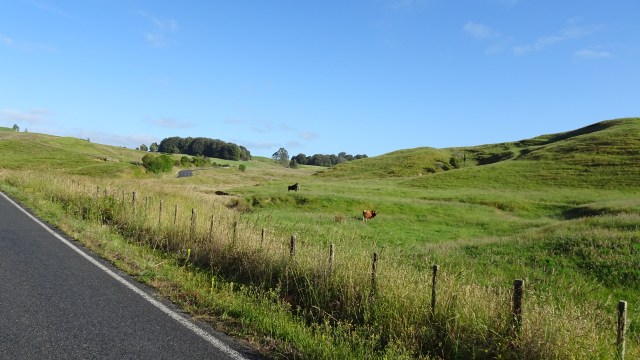 9B325425-818D-4352-85D0-461FC7043960