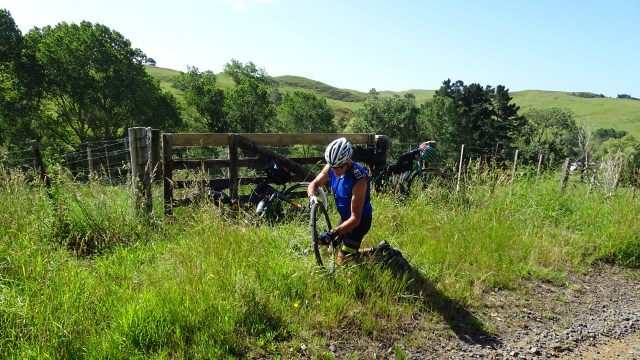 9D58B64D-C929-4F5C-A1E8-280EBC3BFB86