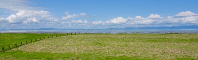 A0A91CE2-4506-438C-BFDF-01B17D113A87