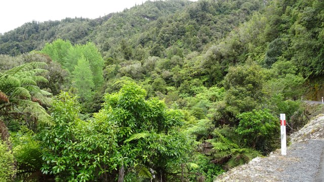 A0B50530-C384-4140-B114-F670261ED428