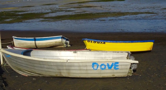 AC0AFD0D-5750-4F49-A437-E7D07914E5A8