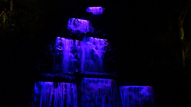 AE77D272-F535-4C2C-9330-78829FDAB3AA