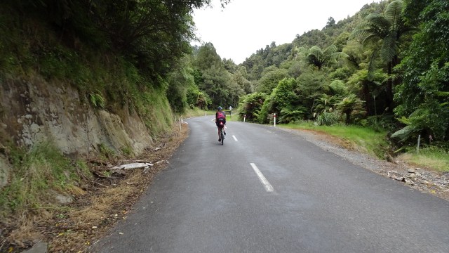 AFD5AE3B-2A4A-4BA7-AC7C-BED8777FA78D