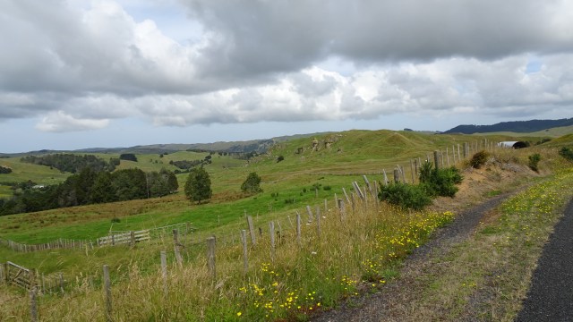 B11DC849-24D8-43F8-99DA-759027519CEE