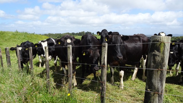 B2681232-B0BE-4CEA-A6E9-A03287152F42