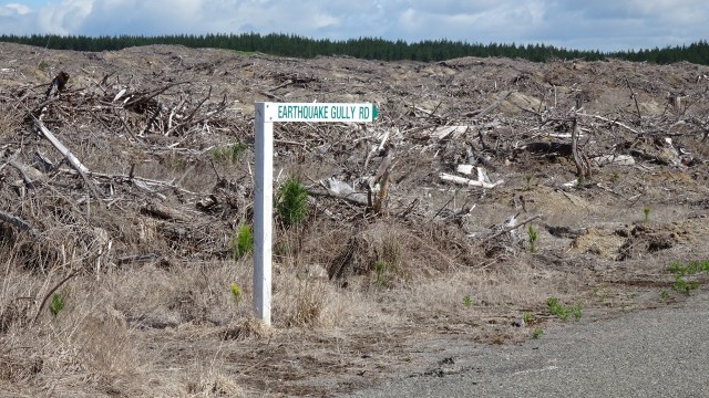 B3246ABB-B404-42E3-AA50-3B54029391CA