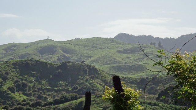 B5C7B641-C09F-44FF-A85B-FCC2405C7EFA