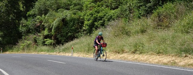 B9295838-8F14-4071-A89D-62C42A8B628F