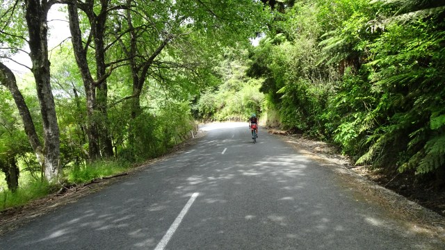 BCC83033-EEEB-4A2B-AF50-18DA168EE118