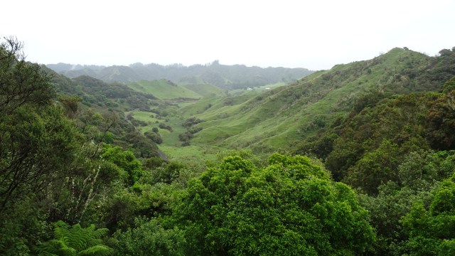 BFAAED2B-3FB9-4F8C-9E39-C0F667F4EE9B