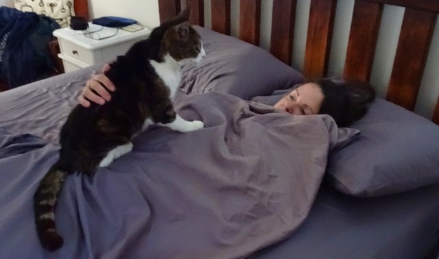 C7671E63-4BC4-4BD7-AFF2-612AF6B81AF4