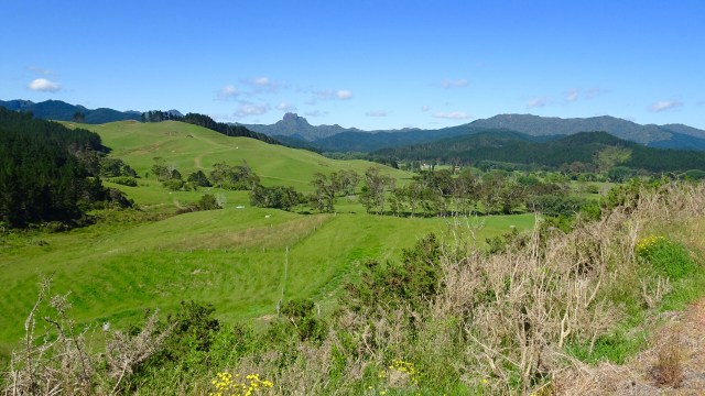 DA00ADC8-5B12-4FDB-A027-1038756D5982