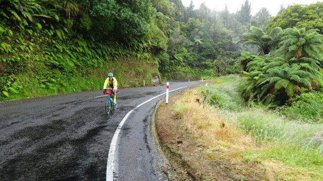 E0D275E9-8674-4B81-97AC-F3A8FF3E6708