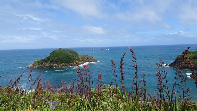 E1150376-85E0-43BA-BAFC-0E1DB4B41EF7