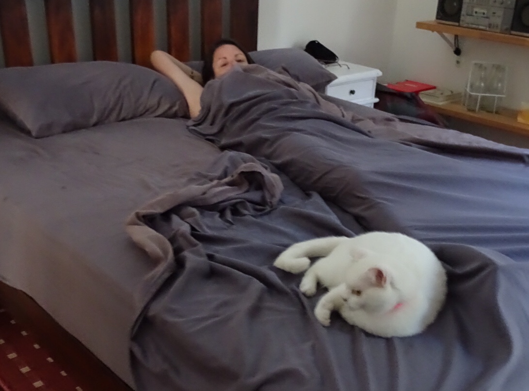 E20B3833-E697-4334-AB53-2F4A58941079