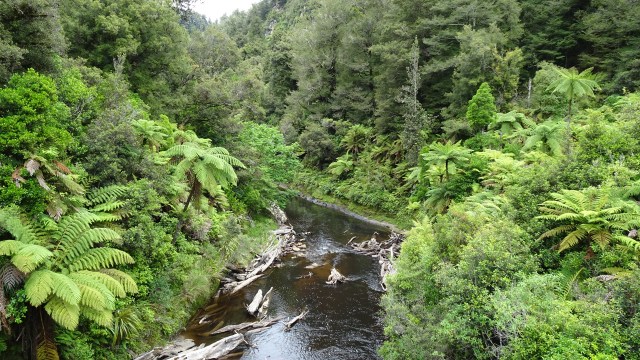 E293E0DE-DD4D-4912-9F37-B54061604EE4